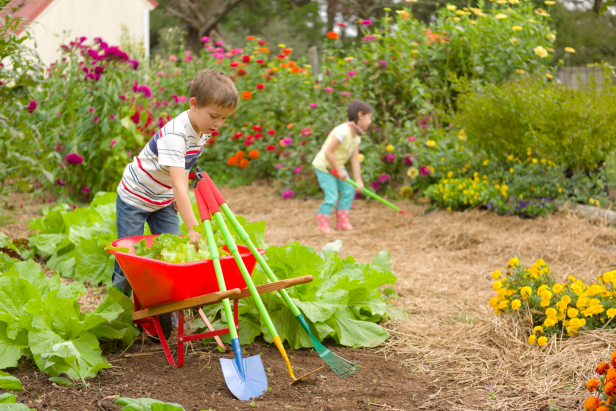 develop green thumb of kids in gardening