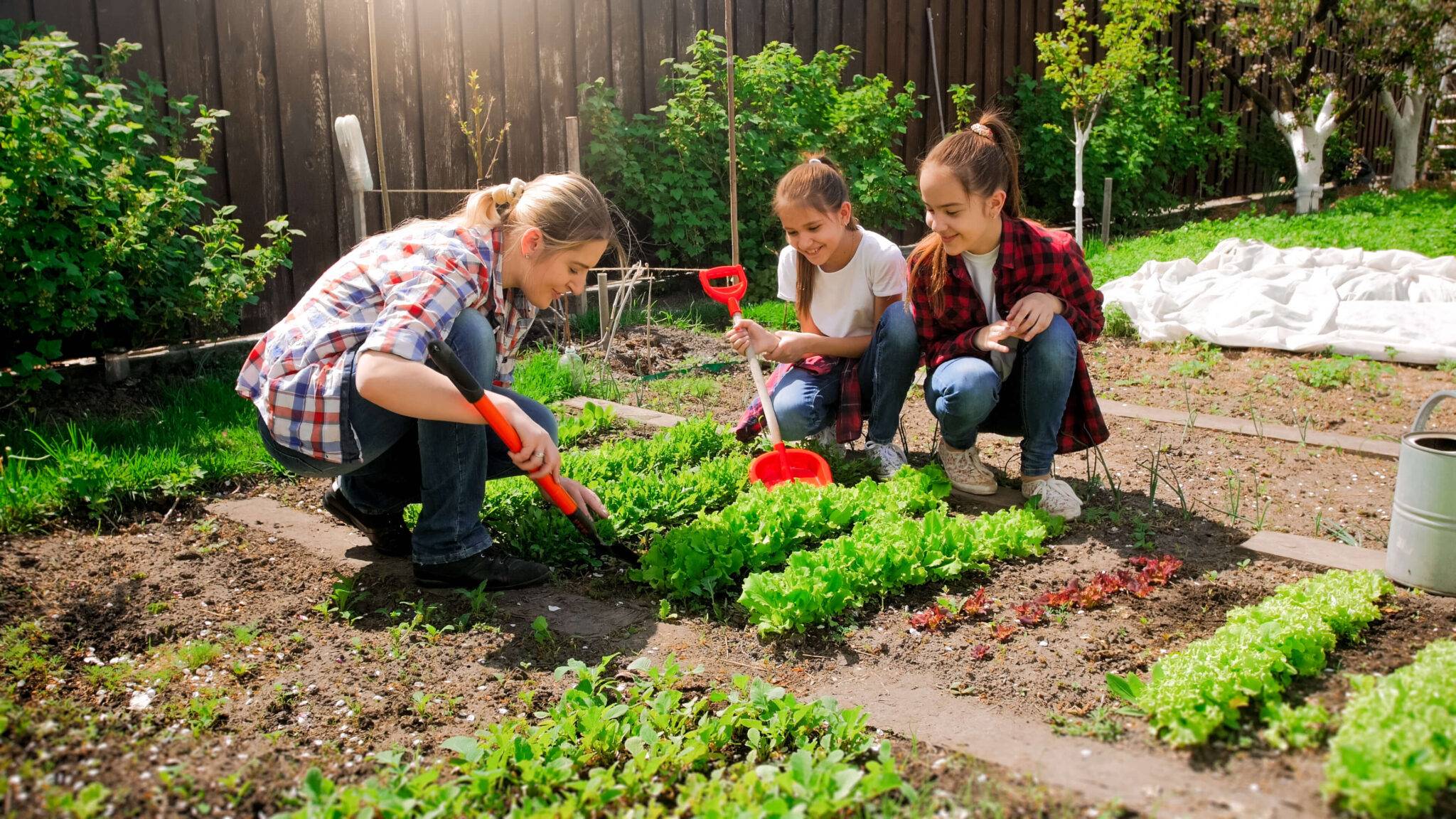 gardening