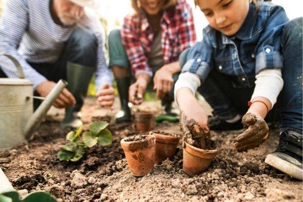 creativity in gardening