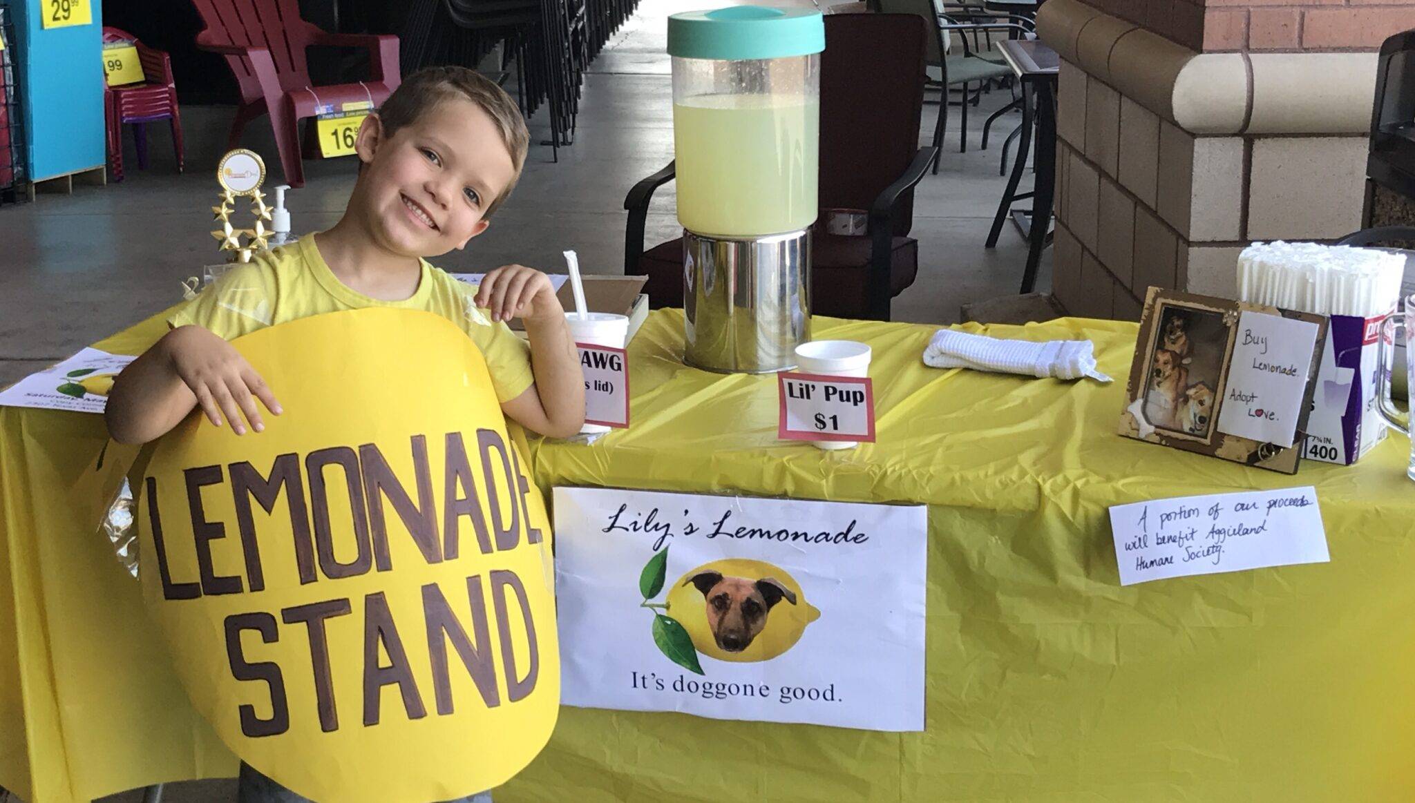 jolly child business lemonade stand