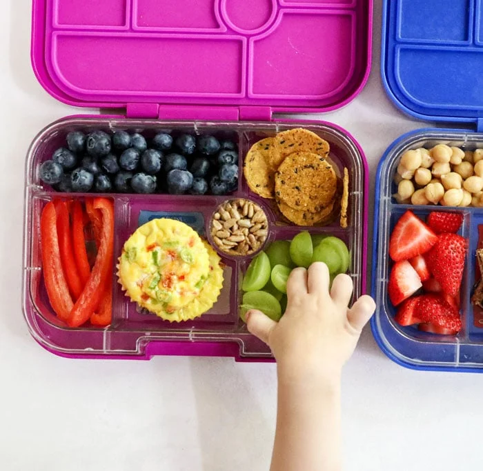 happy kid with nutritious lunches