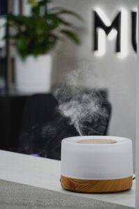 cool mist humidifier