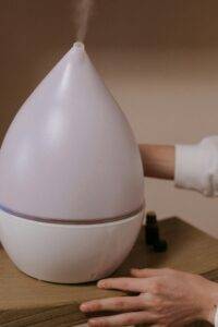 cool mist humidifier